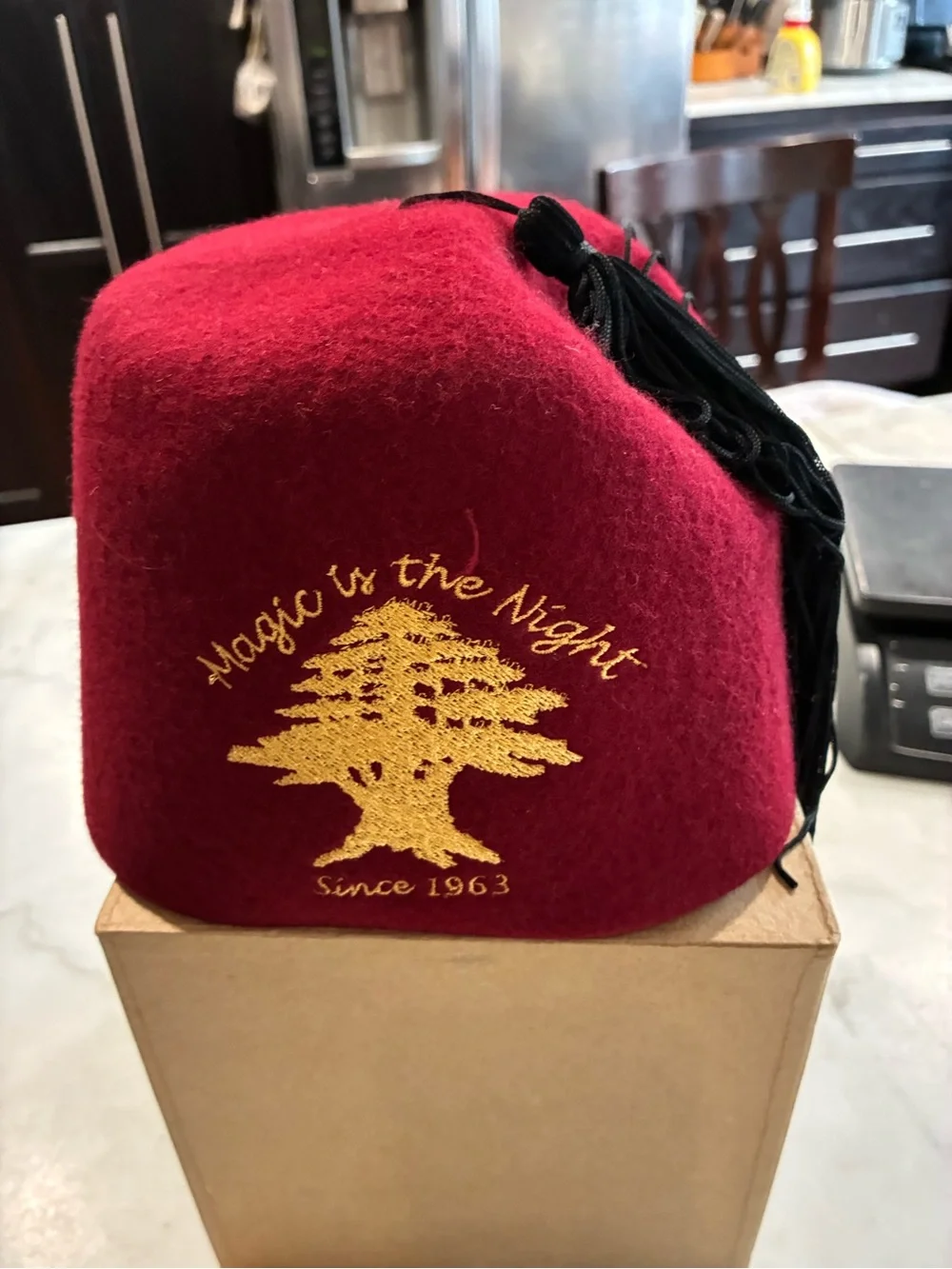 Vintage Souvenir Felt Hat Cap w/ Tassle Fez